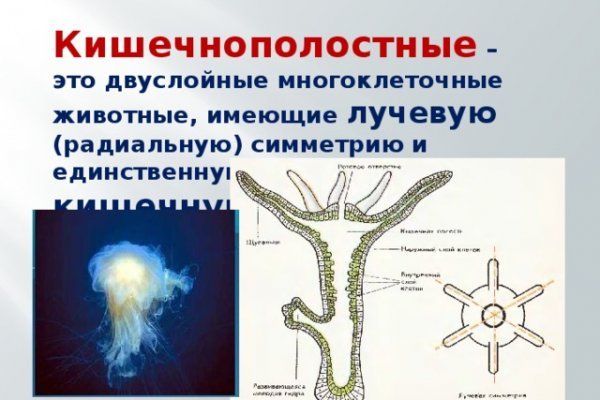 Рабочая ссылка на блэкспрут bs2webes net