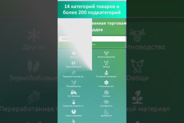 Рабочие ссылки тор bs onion info