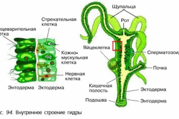 Рабочая blacksprut bs2webes net