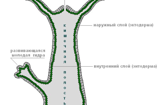 Рабочее зеркало blacksprut blacksprut wiki